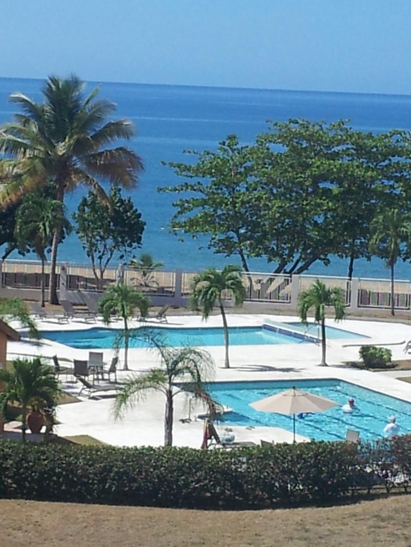 View from its balcony